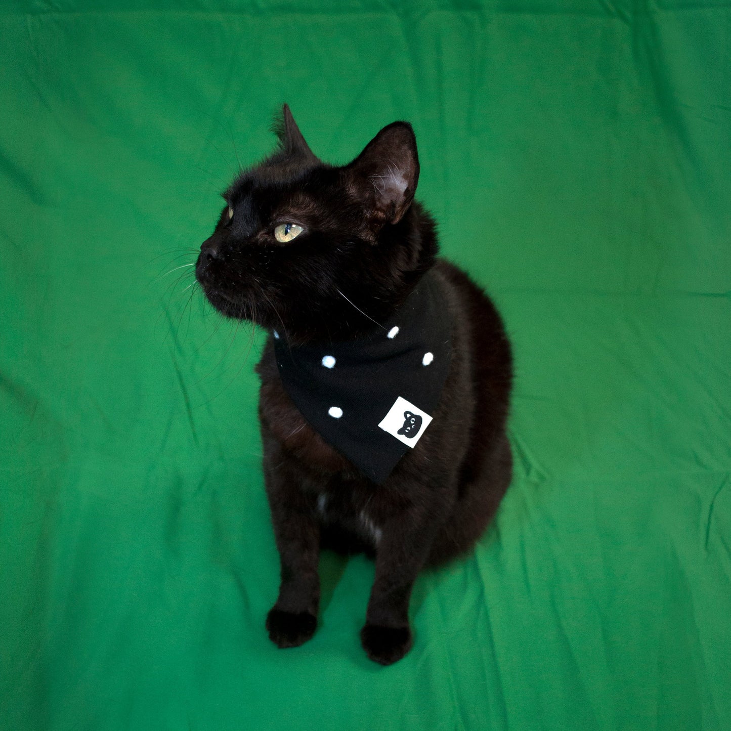 Bomba Stitch Logo Pet Bandana (Black/White)