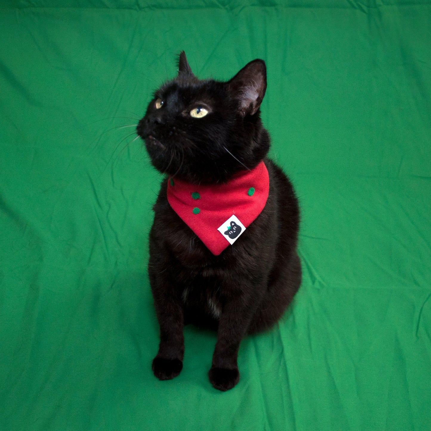 Bomba Stitch Logo Pet Bandana (Red/Green)