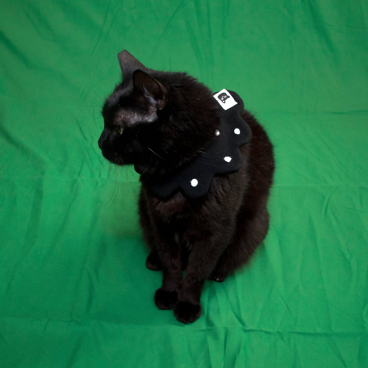 Bomba Stitch Logo Pet Floral Bib (Black/White)